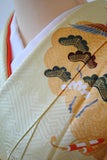 No.259 若芽色金雲取りに吉祥文様振袖